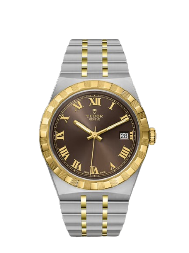 Tudor watch with two-tone metal strap on a white background
